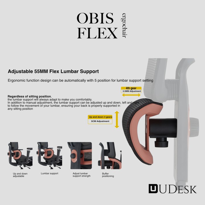 

Ergonoc air Obis Flex - Adjustable Lumbar Support Mesh air with Footrest