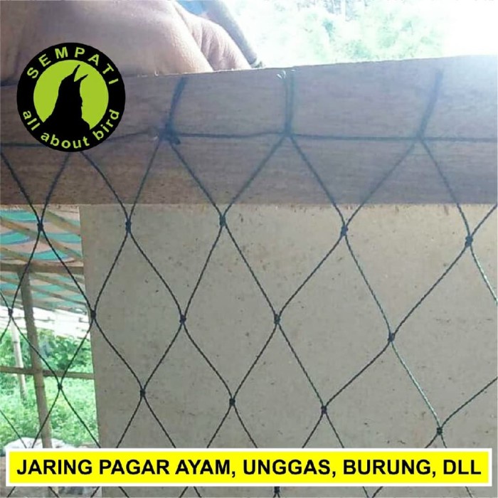 Terbaru JARING KANDANG AYAM JARING NILON JARING AYAM/JARING PAGAR AYAM/ JARING Berkualitas