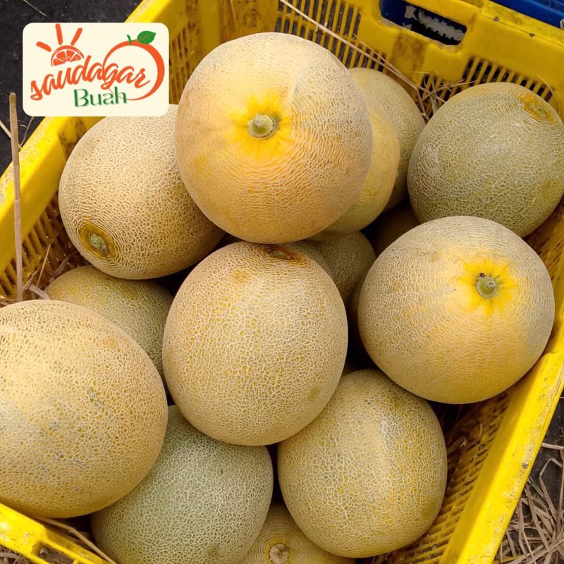 

BUAH MELON MADU MANIS WE!