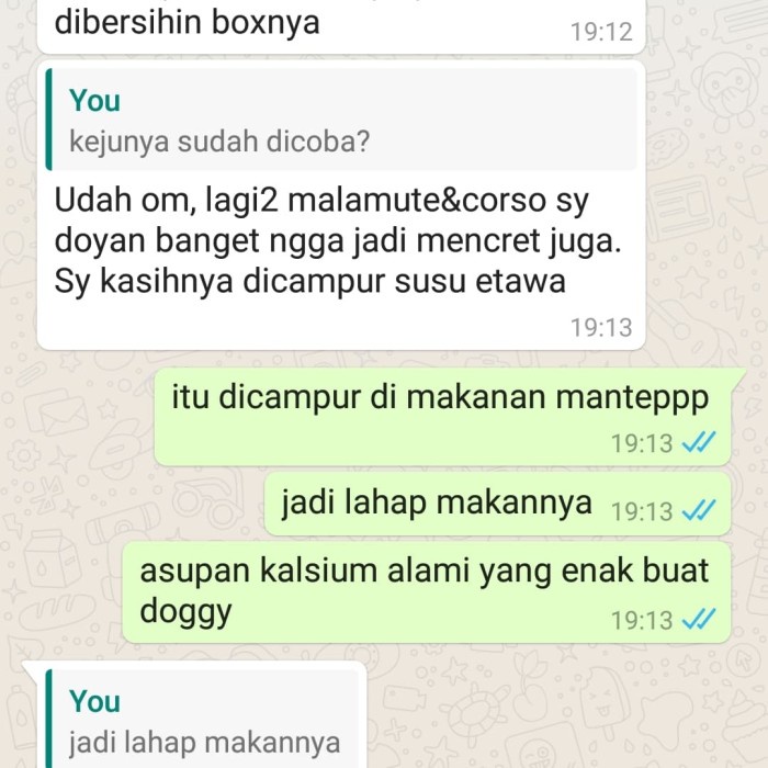 

Promo Susu Kambing Ettawa + Madu Untuk Anjing, Goat Milk For Dog, Rawfood Terlaris