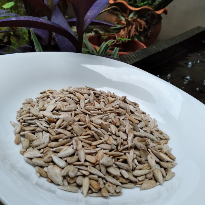 

SUNFLOWER SEED ROASTED 1KG