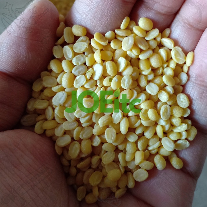 

kacang hijau kupas 1kg