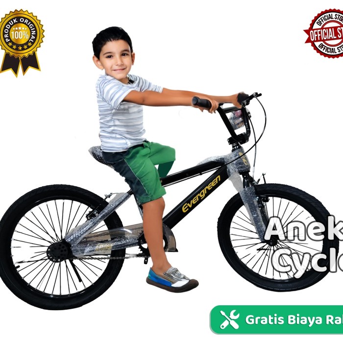 sepeda anak bmx evergreen 20.