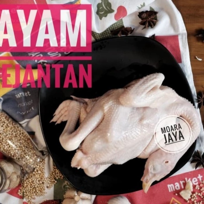 

(TopSeller) AYAM PEJANTAN (FREE PARTING 4)
