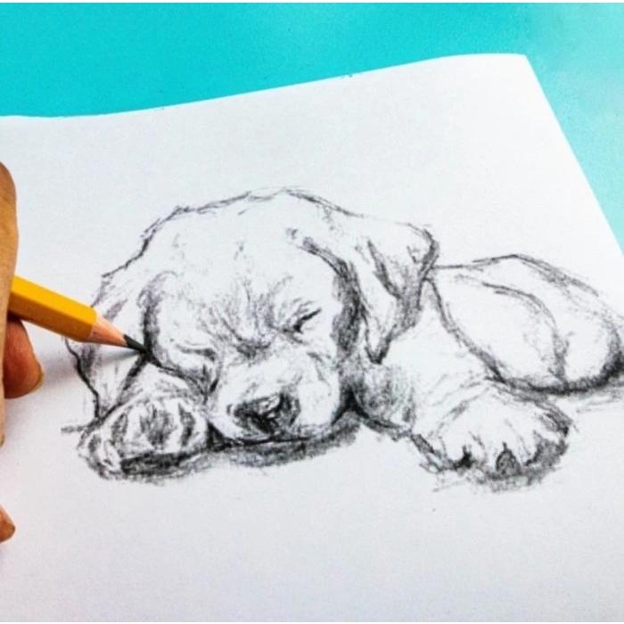 

Pensil 2B Squeezy Tartan Pk2B-Sq306 Isi 12 Pcs / Box