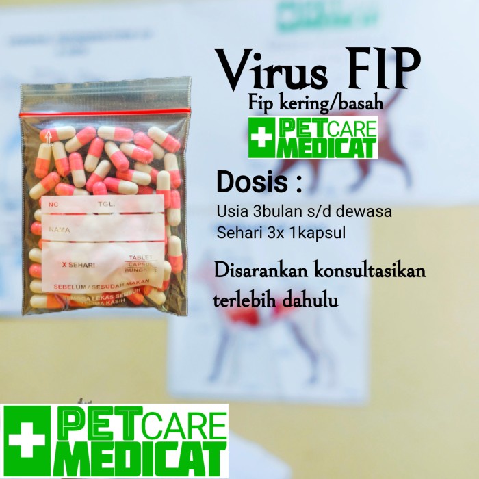 Obat Virus Fip Obat Virus Fip Basah Fip Kering Obat Virus Fip Kucing #Gratisongkir