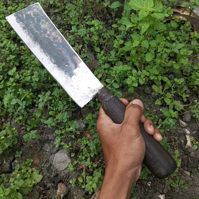 PREMIUM pisau dapur cincang daging belah kelapa muda pisau potong daging ayam