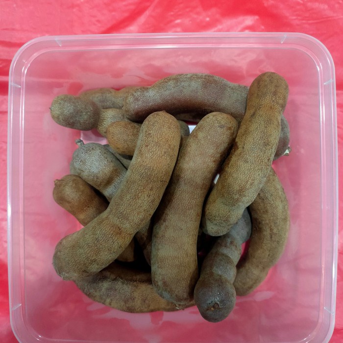 

Lezat- Buah Asam Bangkok / Sweet Tamarind 500gr Manis Thailand Harga Grosir
