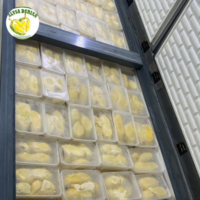 

Lezat- DURIAN MONTONG PALU PARIGI