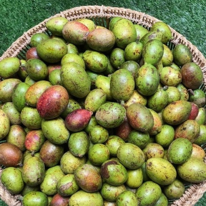 

Lezat- Buah Matoa