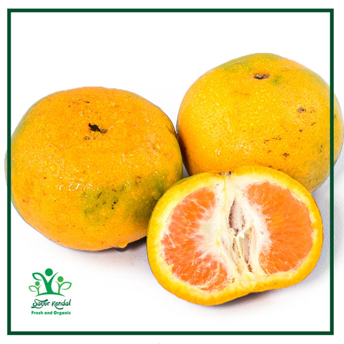 

Lezat- Jeruk Medan (perkg) - Sayur Kendal