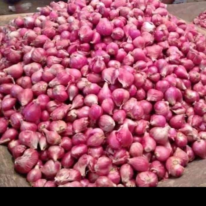 

Lezat- Bawang Merah Super Brebes 1 kg