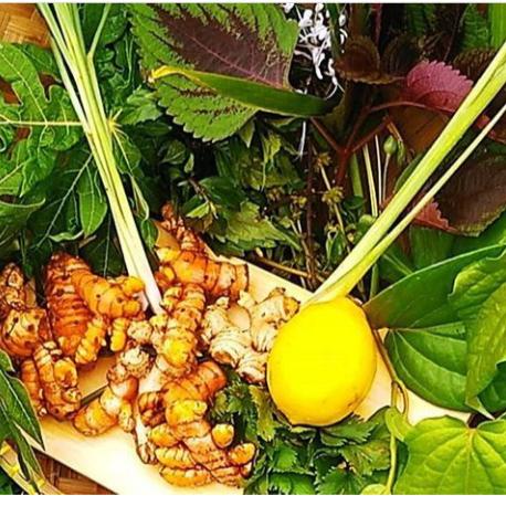 

Lezat- Ayam-Kampung-Organik-Sudah-di-Potong-Free-Range-Brocock-Brokok-Sehat