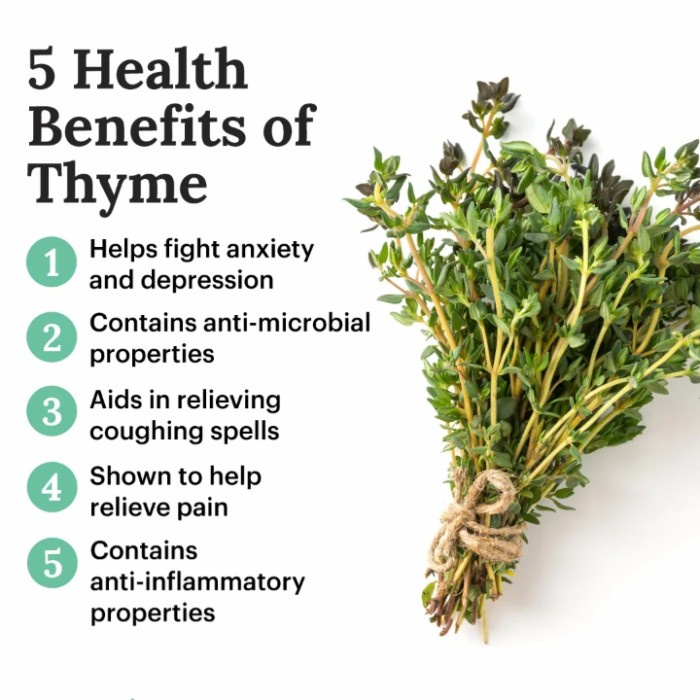 

BEST !! THYME TEA : THYME LEAF TEA / SATUREJA HORTENSIS TEA (30 Tea Bag)