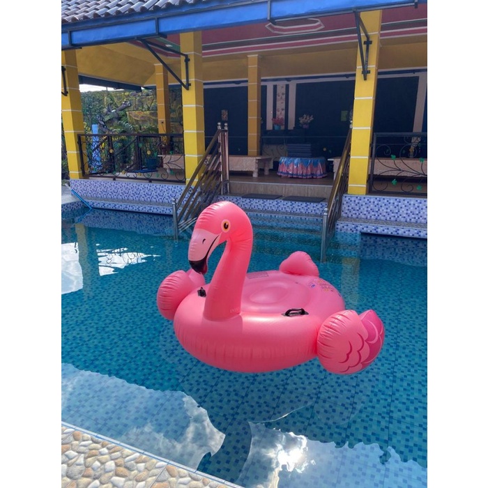 Ride on INTEX flamingo swan duck pelampung