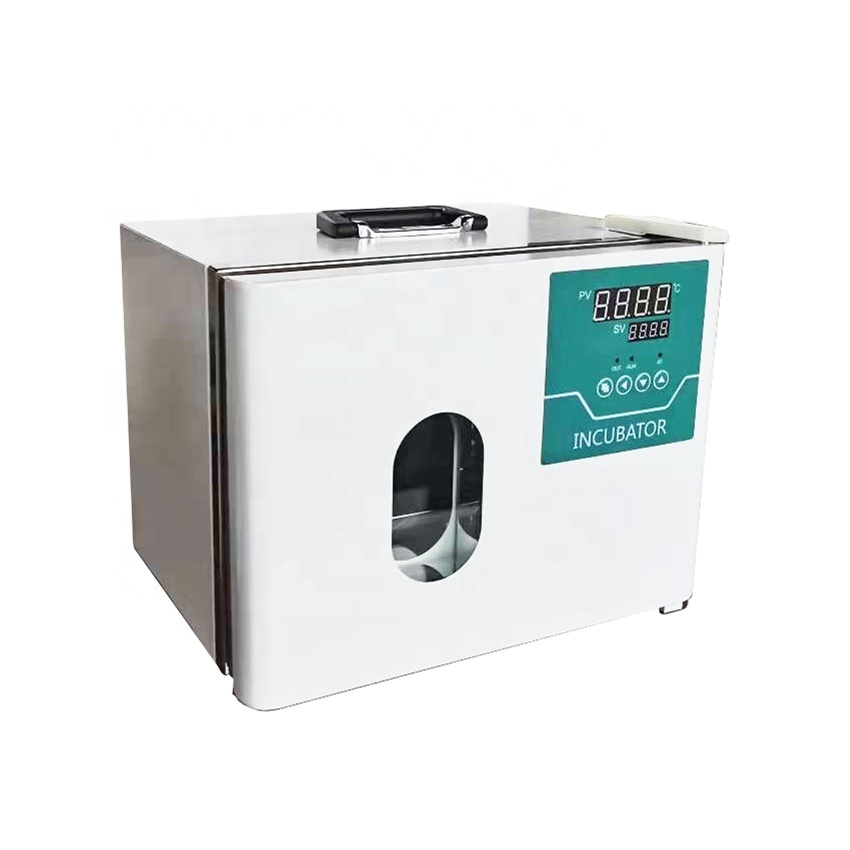 New Laboratory Mini Incubator Thermostat Bacteriological Incubator Portable Lab Natural Convection I