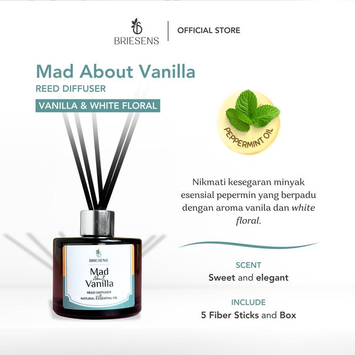 Best Seller Briesens Reed Diffuser Aromatic Diffuser Humidifier Aromatic Oil Essential Oil Fragrance