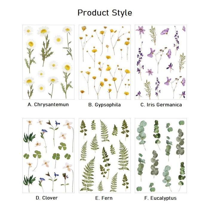 

New [MILOLI] Stiker PET FLOWER Sticker Decor Planner DIY Scrapbook Bunga Stiker Dekor - B0005