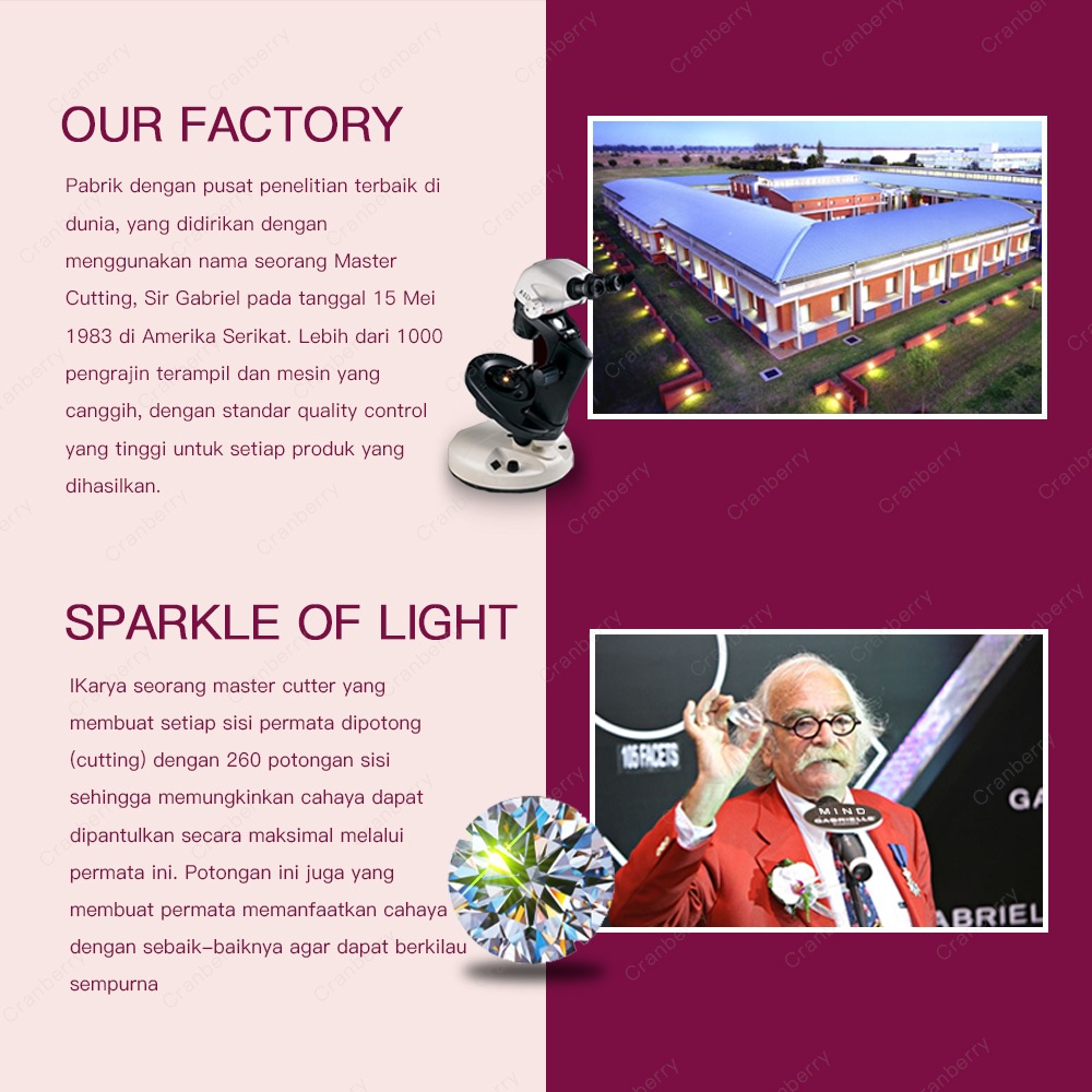 Cincin Couple Pasangan Wanita Lamaran Tunangan 1 gram Buat Pacar Cranberry Jewellery Official R02