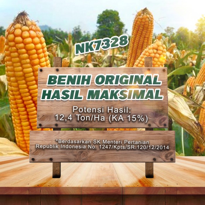 Benih Jagung NK 7328 NK SUMO - 1Kg