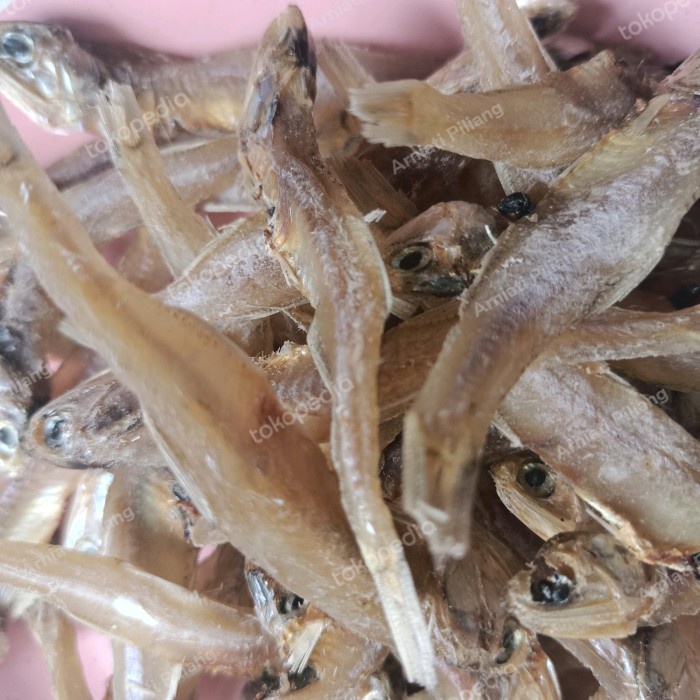 

OBRAL Ikan Asin - Tawar - Kering - Bada - Tanpa Pengawet - Oleh oleh Minang HN327