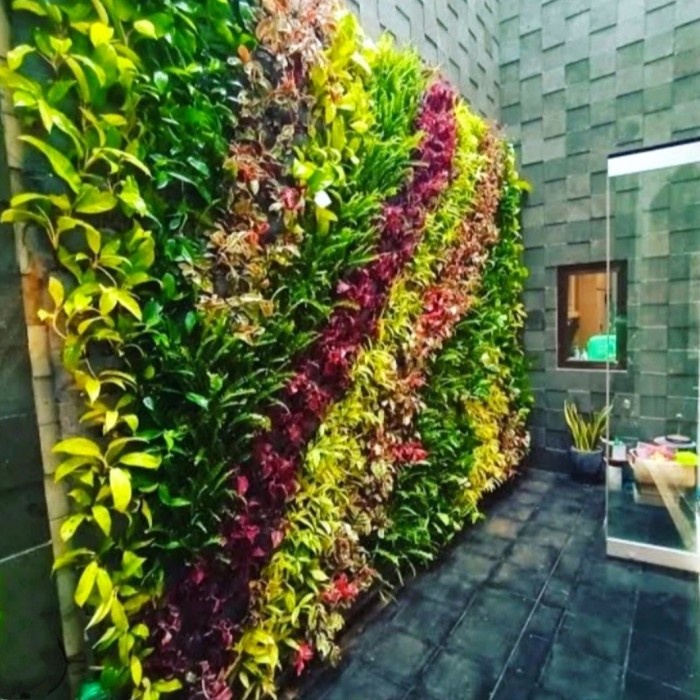 Paket Tanaman Hias Vertical Garden - Paket Murah Vertical Garden