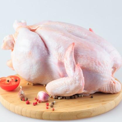 

Ayam Karkas Ayam Potong 1,2 -1,4 Kg