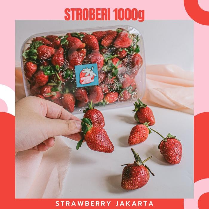 

BisaInstan- Stroberi Strawberry High Quality Asli Ciwidey Kualitas Tinggi 1kg