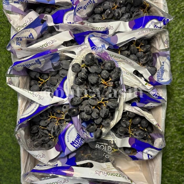 

BisaInstan- anggur midnight beauty black seedless