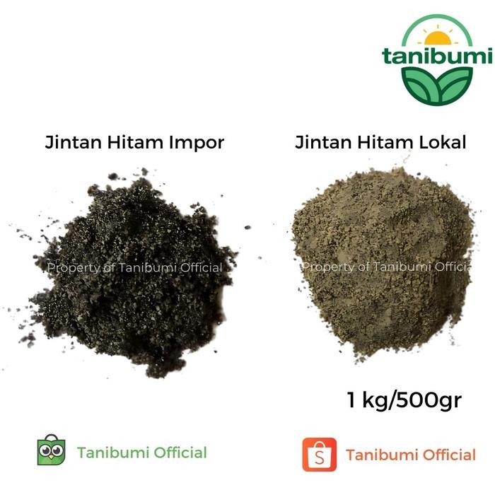 

Kirim,HariYgSama- Bubuk Jintan Hitam Impor Murni 500g / 1kg Habbatussauda Serbuk