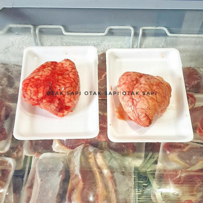 

Kirim,HariYgSama- otak sapi