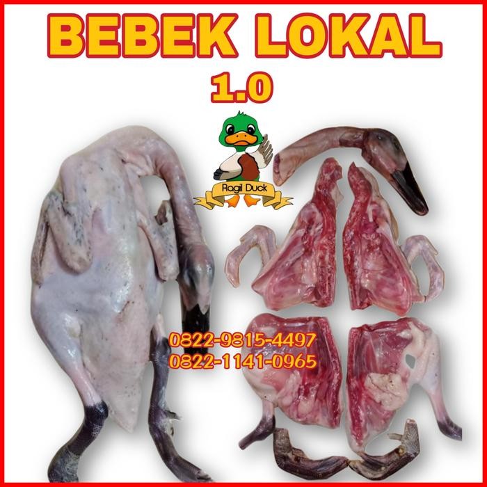 

Kirim,HariYgSama- BEBEK LOKAL MURAH 1.0 - 1.1 kg