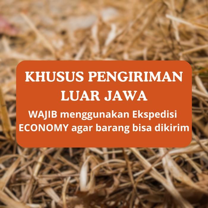 Herbisida WINSA 135 SL 1ltr PEMBAS RUMPUT LIAR/GULMA Obat RUMPUT Tanaman