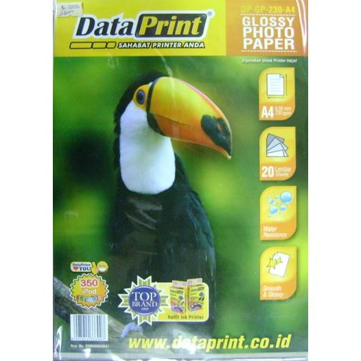 

DATA PRINT GLOSSY PHOTO PAPER