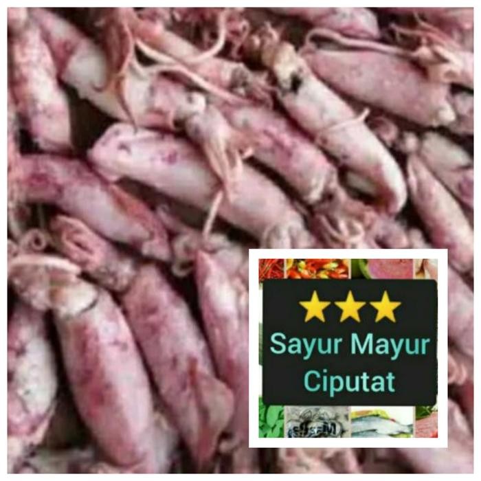 

NewZbgt- ikan cumi asin