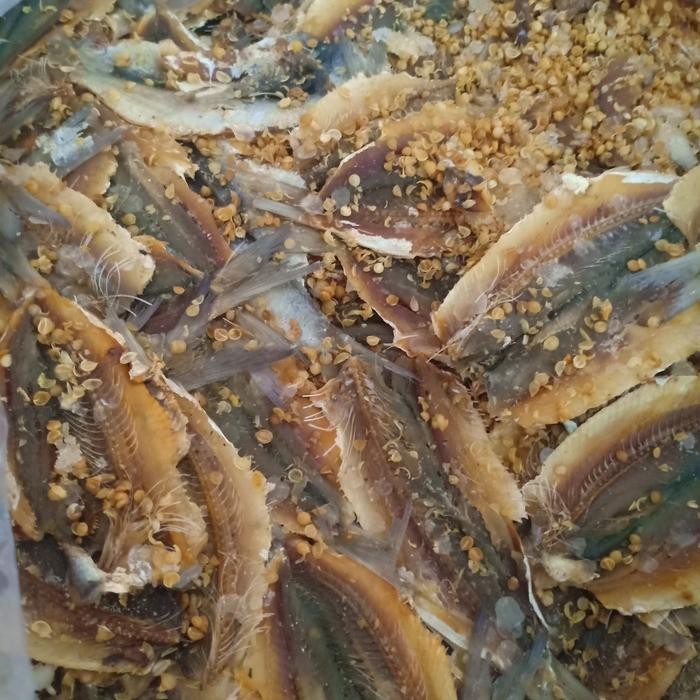 

NewZbgt- dendeng japuh per 1kg