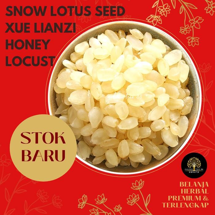 

NewZbgt- Premium Snow Lotus Seed Xue Lian Zhi Lotus Salju Fresh Original