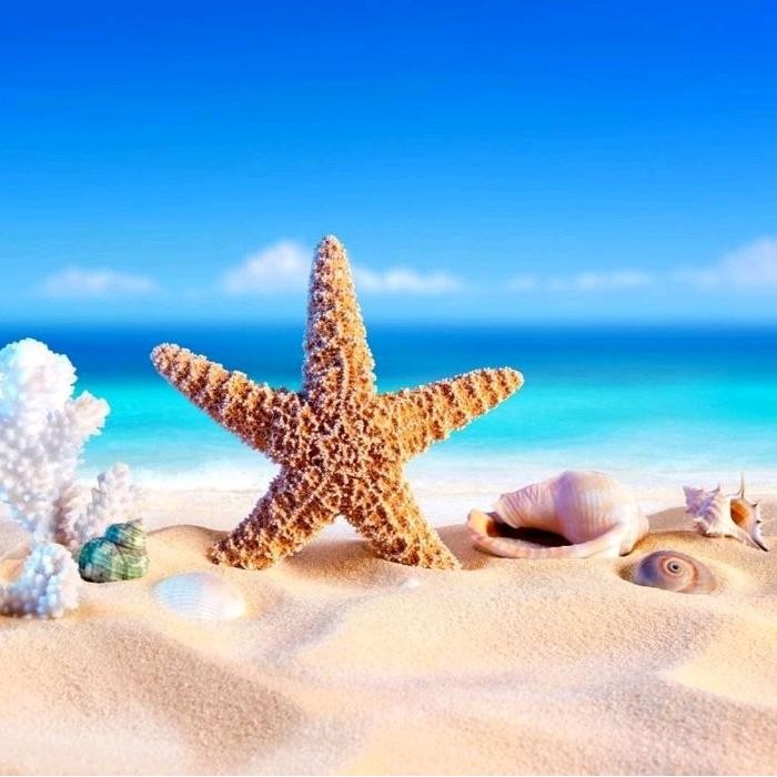 

TERLARIS Diamond Painting Set 5D full drill SQUARE Kreatifitas ( 30cm x 40cm ),keterampilan dan