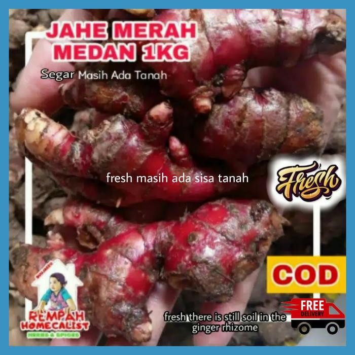 

CARAKA.STORE1 JAHE MERAH MEDAN SEGAR 1KG KUALITAS BAGUS
