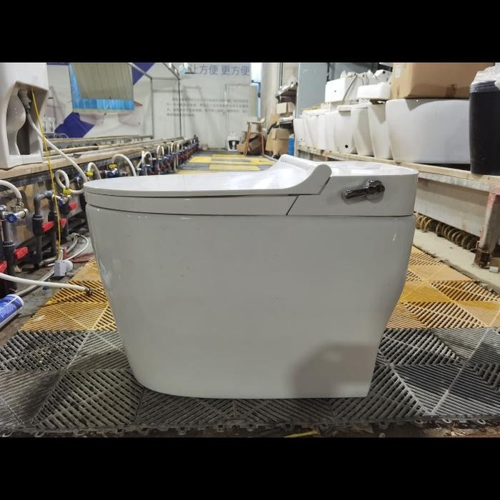 closed duduk / WC duduk ICEPOOL