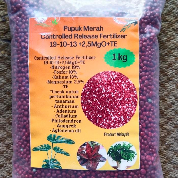 Terlaris- Osmocote Merah 19-10-13 - 1Kg Slow Release Fertilizer Aglonema,Bonsai