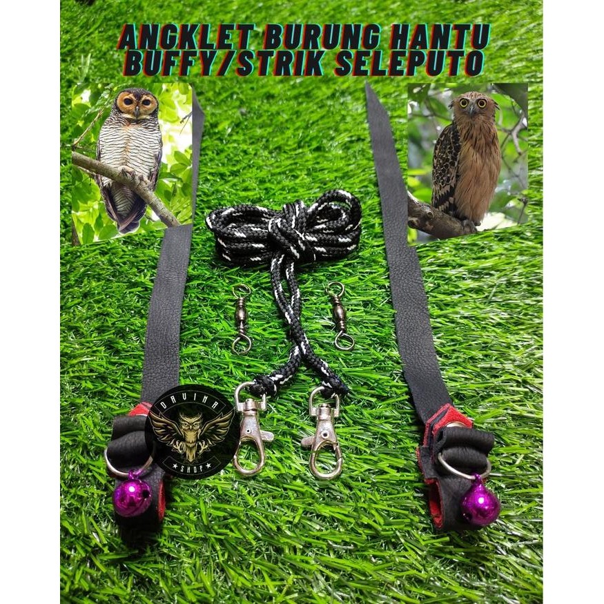 angklet burung hantu buffy/strik seleputo/ibe