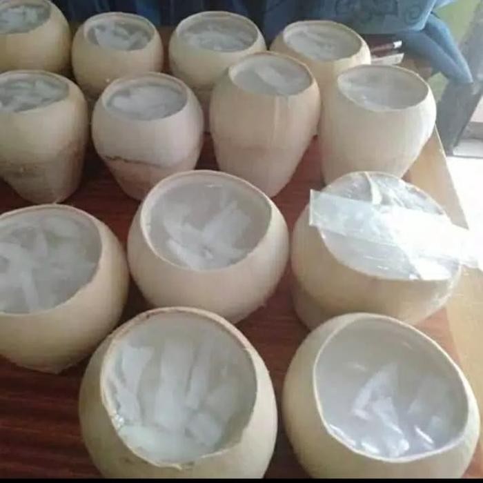 

New puding kelapa muda