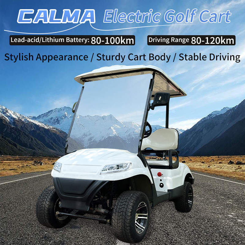 Wholesale Best 72 Volt Car 6 Seater 72V Cart For Sale Golf Buggy
