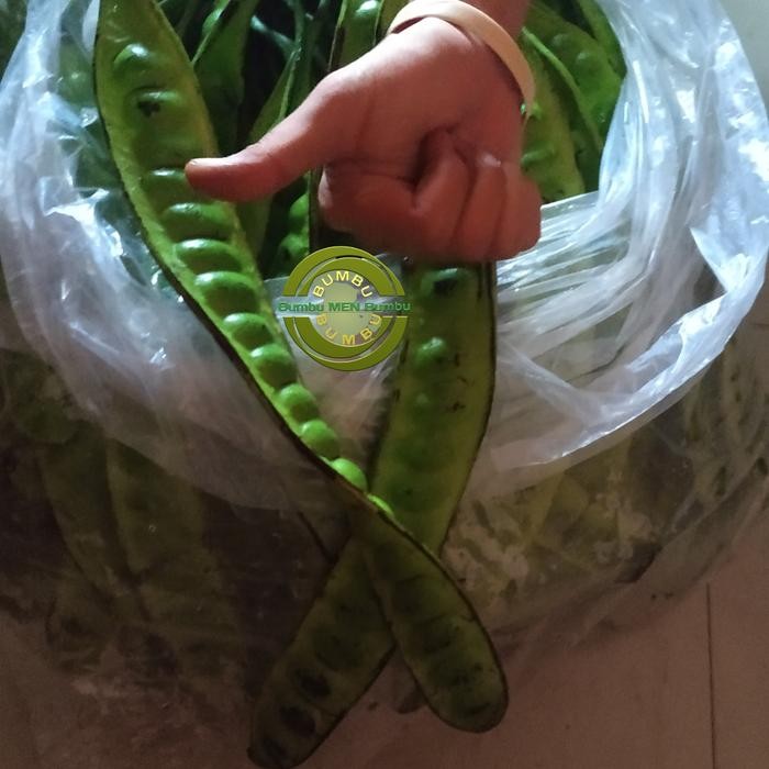 

PETE / PETAI SUPER SEGAR 10 Papan *