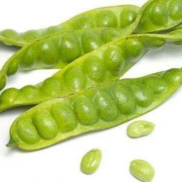 

PETAI,PETE(BERKUALITAS,MURAH ) *