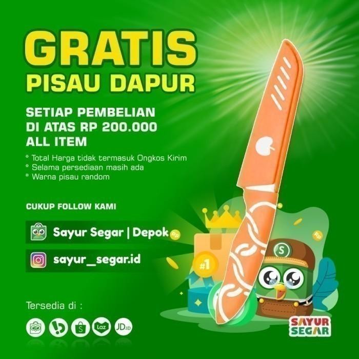 

Best Seller Mie Kuning Basah 500G Fresh Kualitas Premium