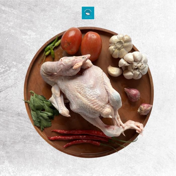 

TodayFre3sH- Ayam Kampung Asli Segar Premium Dijamin Berkualitas By FreshGoods