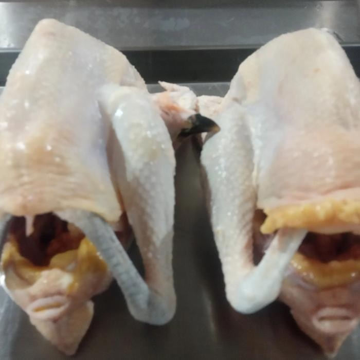 

BeliSkrg,KirimHariini- ayam kampung liar fresh