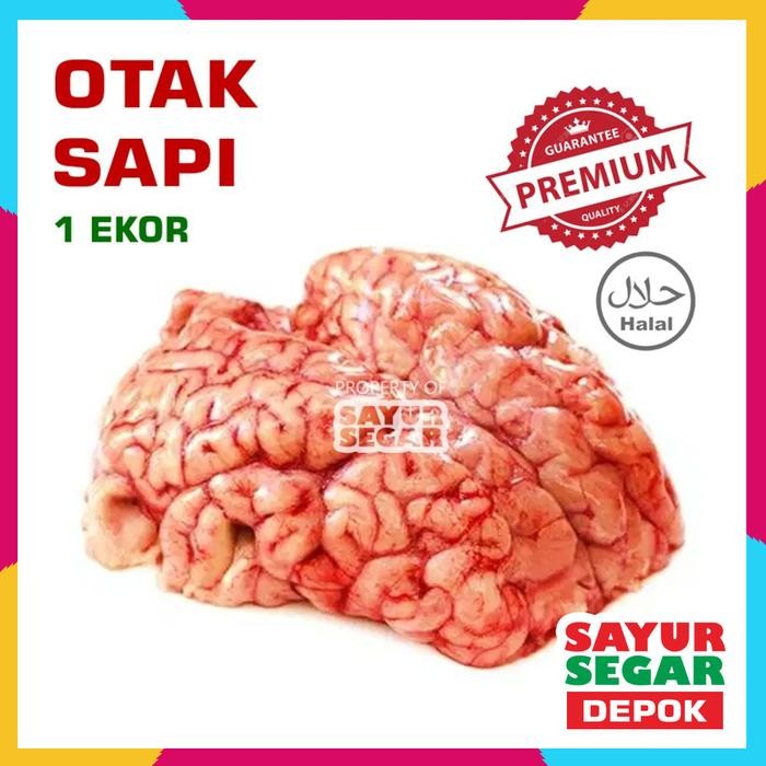 

BeliSkrg,KirimHariini- OTAK SAPI SEGAR [1Pcs] PREMIUM